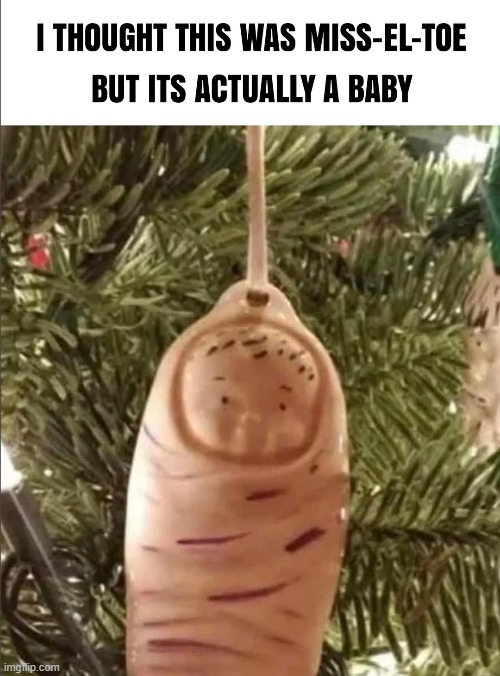 image tagged in mistletoe,toe,baby,ornament,christmas,christmas tree | made w/ Imgflip meme maker