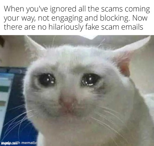 "helo i am the tax office" | image tagged in scams,ignored,blocked | made w/ Imgflip meme maker