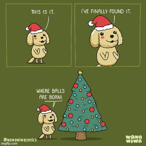 image tagged in dog,christmas,christmas tree,ornaments,balls,born | made w/ Imgflip meme maker