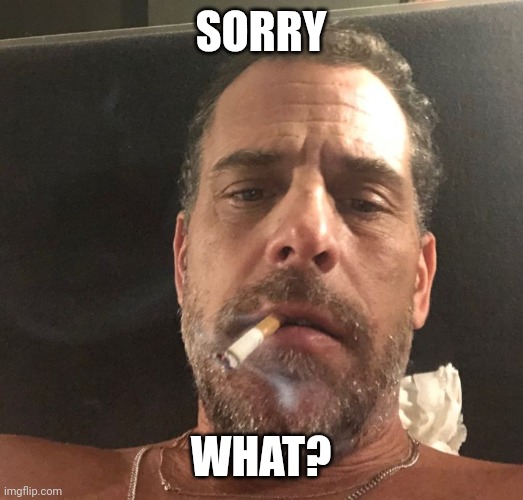 Hunter Biden | SORRY WHAT? | image tagged in hunter biden | made w/ Imgflip meme maker