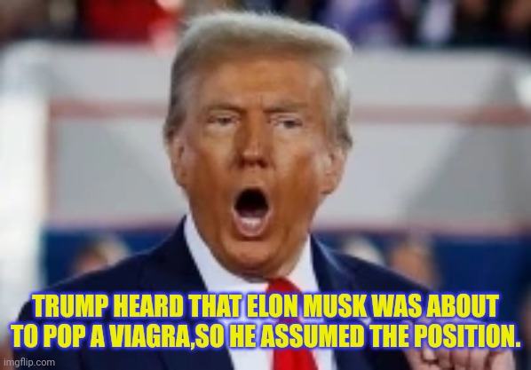 TRUMP HEARD THAT ELON MUSK WAS ABOUT TO POP A VIAGRA,SO HE ASSUMED THE POSITION. | made w/ Imgflip meme maker