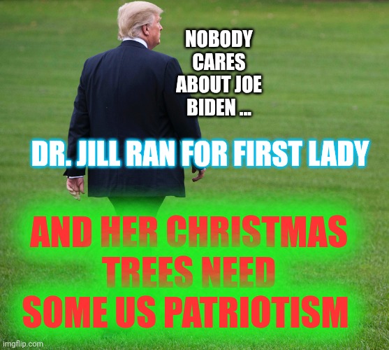 Donald J. Trump | NOBODY CARES ABOUT JOE BIDEN ... DR. JILL RAN FOR FIRST LADY AND HER CHRISTMAS TREES NEED SOME US PATRIOTISM | image tagged in donald j trump | made w/ Imgflip meme maker