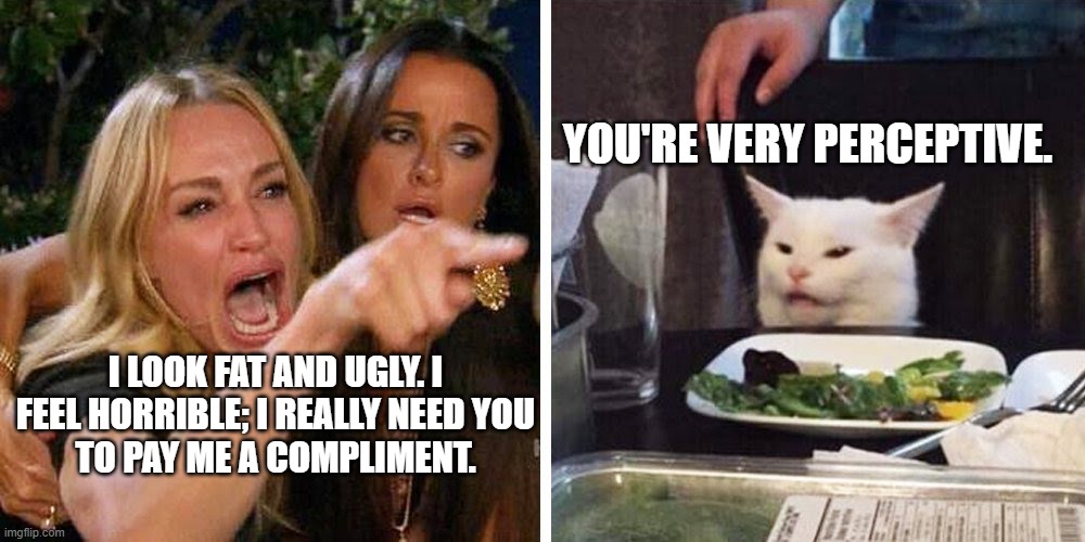 perceptive Karen | YOU'RE VERY PERCEPTIVE. I LOOK FAT AND UGLY. I FEEL HORRIBLE; I REALLY NEED YOU
TO PAY ME A COMPLIMENT. | image tagged in smudge the cat | made w/ Imgflip meme maker