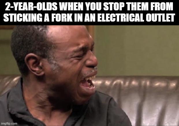 Their self-preservation is nonexistent | 2-YEAR-OLDS WHEN YOU STOP THEM FROM STICKING A FORK IN AN ELECTRICAL OUTLET | image tagged in best cry ever,memes | made w/ Imgflip meme maker