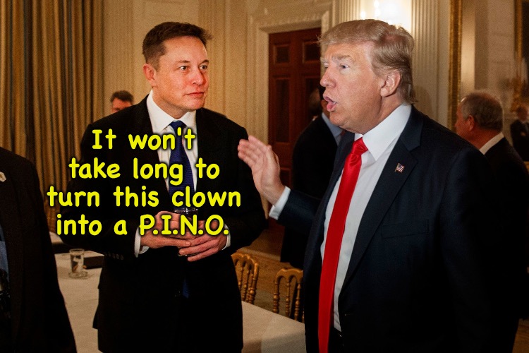 Trump will be President-In-Name-Only. | It won't take long to turn this clown into a P.I.N.O. | image tagged in trump and elon musk | made w/ Imgflip meme maker