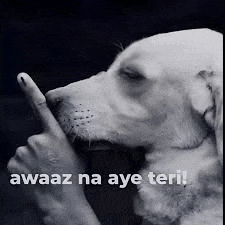 awaz na aye teri Blank Meme Template