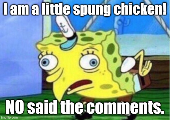 Sung chicken | I am a little spung chicken! NO said the comments. | image tagged in memes | made w/ Imgflip meme maker