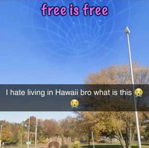 i’m just saying 0 dollars is 0 dollars | free is free | image tagged in i hate living in hawaii bro what is this,cinnabox announcement | made w/ Imgflip meme maker