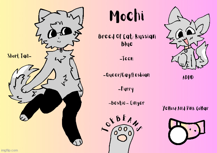 Mochi! | image tagged in omg,meow | made w/ Imgflip meme maker