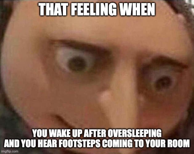 gru meme | THAT FEELING WHEN; YOU WAKE UP AFTER OVERSLEEPING AND YOU HEAR FOOTSTEPS COMING TO YOUR ROOM | image tagged in gru meme,fun | made w/ Imgflip meme maker