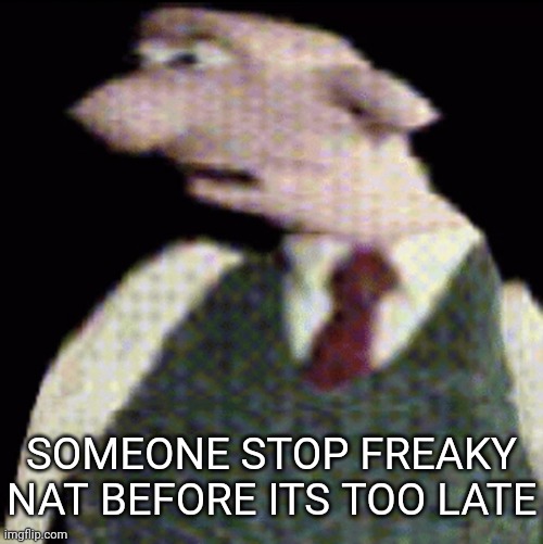 whauhauhauhhgajrheha7hahhuh.??. | SOMEONE STOP FREAKY NAT BEFORE ITS TOO LATE | image tagged in whauhauhauhhgajrheha7hahhuh | made w/ Imgflip meme maker