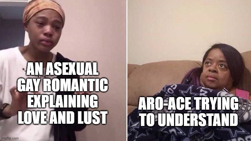 Asexual explaining love to aroace | AN ASEXUAL GAY ROMANTIC EXPLAINING LOVE AND LUST; ARO-ACE TRYING TO UNDERSTAND | image tagged in me explaining to my mom | made w/ Imgflip meme maker