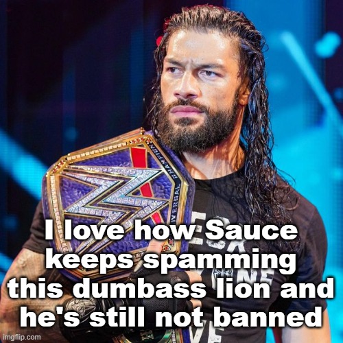 Roman Reigns | I love how Sauce keeps spamming this dumbass lion and he's still not banned | image tagged in roman reigns | made w/ Imgflip meme maker