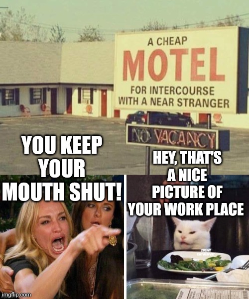 HEY, THAT'S A NICE PICTURE OF YOUR WORK PLACE; YOU KEEP YOUR MOUTH SHUT! | image tagged in smudge that darn cat with karen | made w/ Imgflip meme maker