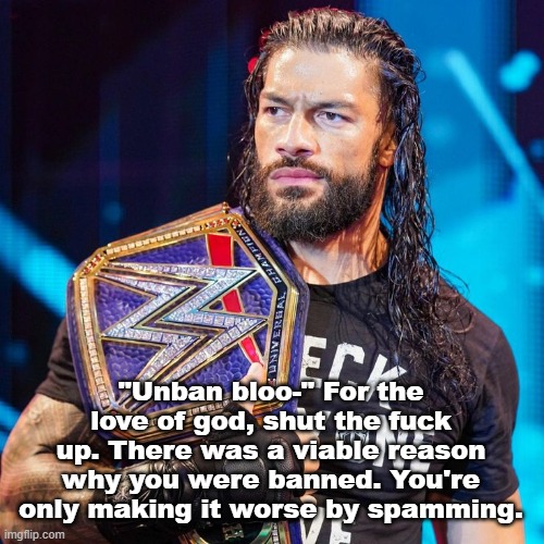 Did Andrew ban you? Then message Andrew directly. Don't complain to us when there are no mods online. | "Unban bloo-" For the love of god, shut the fuck up. There was a viable reason why you were banned. You're only making it worse by spamming. | image tagged in roman reigns | made w/ Imgflip meme maker