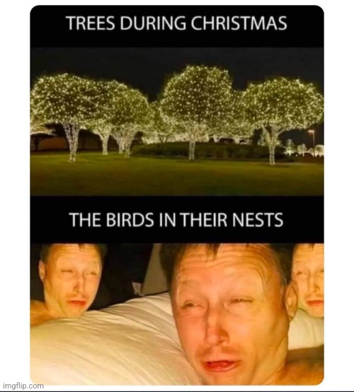 Nobody thinks of the birds! | image tagged in classic | made w/ Imgflip meme maker