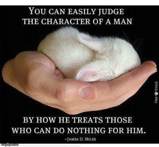 How to tell a good person | image tagged in wholesome,likes,bunnies | made w/ Imgflip meme maker