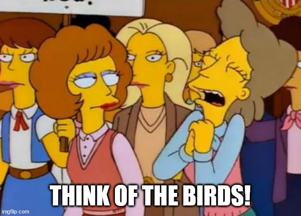 Think Of The Children, Simpsons | THINK OF THE BIRDS! | image tagged in think of the children simpsons | made w/ Imgflip meme maker