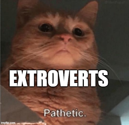 EXTROVERTS | image tagged in pathetic cat | made w/ Imgflip meme maker