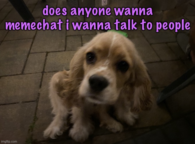 i could just go to sleep but that’s for nerds | does anyone wanna memechat i wanna talk to people | image tagged in dumb little idiot gnocchi,cinnabox announcement | made w/ Imgflip meme maker