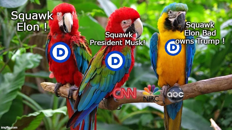 Parrot's gotta Parrot | Squawk Elon ! Squawk Elon Bad owns Trump ! Squawk President Musk! | image tagged in musk parroting meme | made w/ Imgflip meme maker