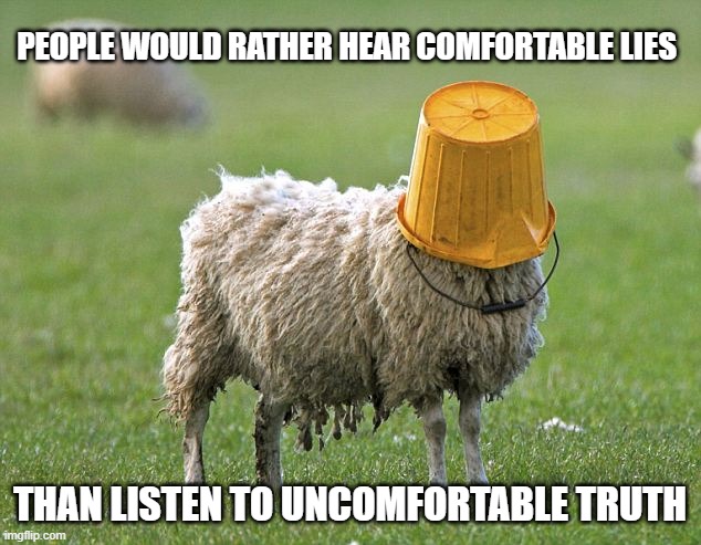 Sheeple | PEOPLE WOULD RATHER HEAR COMFORTABLE LIES; THAN LISTEN TO UNCOMFORTABLE TRUTH | image tagged in stupid sheep | made w/ Imgflip meme maker