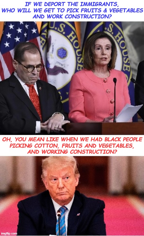 Some Things Never Change | IF WE DEPORT THE IMMIGRANTS,
WHO WILL WE GET TO PICK FRUITS & VEGETABLES
AND WORK CONSTRUCTION? OH, YOU MEAN LIKE WHEN WE HAD BLACK PEOPLE
PICKING COTTON, FRUITS AND VEGETABLES,
AND WORKING CONSTRUCTION? | image tagged in trump,pelosi,nadler,immigrants | made w/ Imgflip meme maker