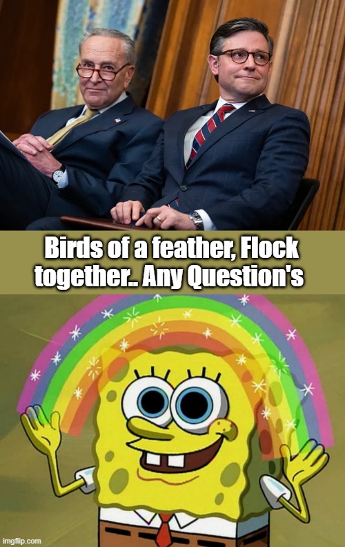 Bob is a very Wise Sponge. | Birds of a feather, Flock together.. Any Question's | image tagged in memes,imagination spongebob | made w/ Imgflip meme maker