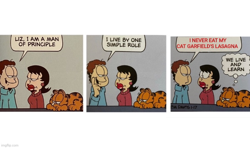 Garfield | I NEVER EAT MY CAT GARFIELD'S LASAGNA | image tagged in i am a man of principal jon arbuckle,funny memes | made w/ Imgflip meme maker