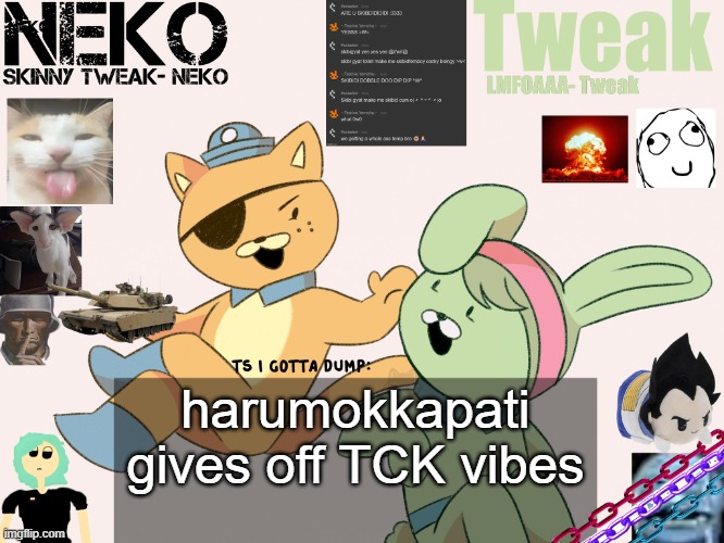 Tweak and Neko Shared temp | harumokkapati gives off TCK vibes | image tagged in tweak and neko shared temp | made w/ Imgflip meme maker