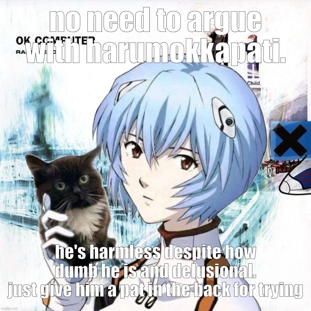 theres simply not a need to be aggressive towards this kid. | no need to argue with harumokkapati. he's harmless despite how dumb he is and delusional.
just give him a pat in the back for trying | image tagged in rei y el gato es en lbum ok computer | made w/ Imgflip meme maker