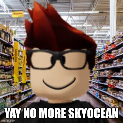 MC smiling | YAY NO MORE SKYOCEAN | image tagged in mc smiling | made w/ Imgflip meme maker