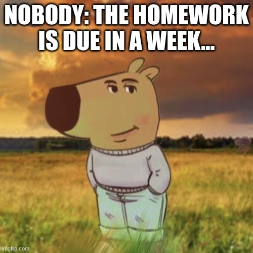 Chill guy | NOBODY: THE HOMEWORK IS DUE IN A WEEK... | image tagged in chill guy | made w/ Imgflip meme maker