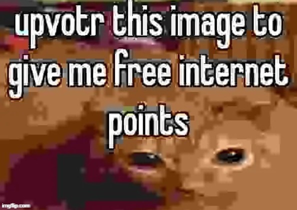 free internet points | image tagged in free internet points,fishing for upvotes,msmg,funny memes | made w/ Imgflip meme maker