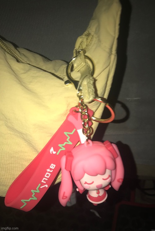 My Sakura Miku keychain that I got yesterday (There’s no regular Miku so I picked this instead) | made w/ Imgflip meme maker