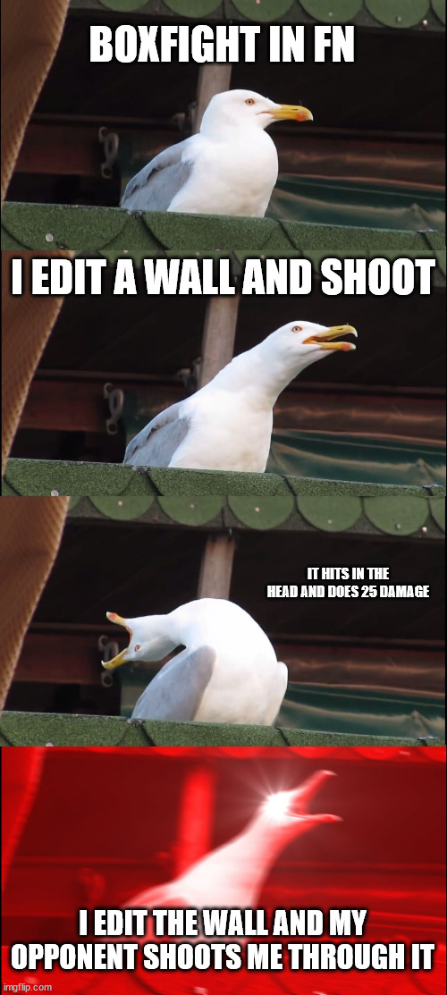 Inhaling Seagull | BOXFIGHT IN FN; I EDIT A WALL AND SHOOT; IT HITS IN THE HEAD AND DOES 25 DAMAGE; I EDIT THE WALL AND MY OPPONENT SHOOTS ME THROUGH IT | image tagged in memes,inhaling seagull | made w/ Imgflip meme maker