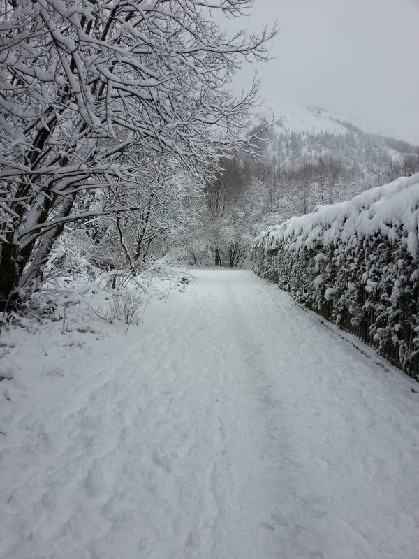 snowy path Blank Meme Template