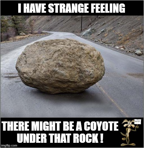 A Very Suspicious Boulder ! | I HAVE STRANGE FEELING; THERE MIGHT BE A COYOTE
UNDER THAT ROCK ! | image tagged in suspicious,rock,wile e coyote | made w/ Imgflip meme maker