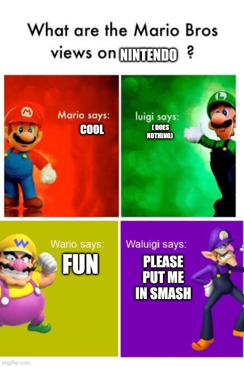 Mario Broz. Misc Views. | NINTENDO; COOL; ( DOES NOTHING); PLEASE PUT ME IN SMASH; FUN | image tagged in mario broz misc views | made w/ Imgflip meme maker