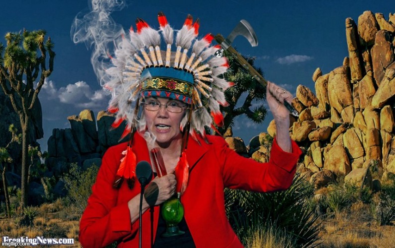 Fauxahontas | image tagged in fauxahontas | made w/ Imgflip meme maker