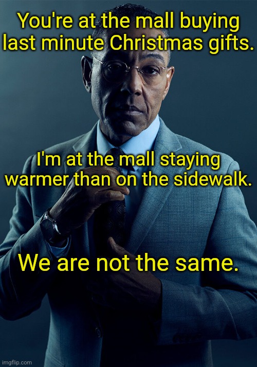 Gus Fring we are not the same | You're at the mall buying last minute Christmas gifts. I'm at the mall staying warmer than on the sidewalk. We are not the same. | image tagged in gus fring we are not the same | made w/ Imgflip meme maker