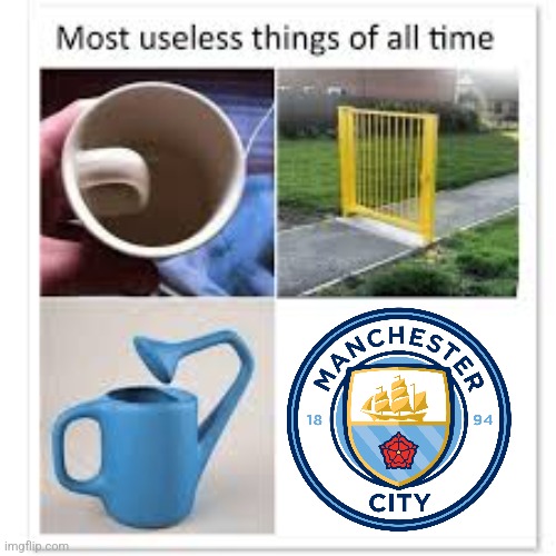 Manchester City ToT | image tagged in most useless things,man city,footy,premier league,soccer,sports | made w/ Imgflip meme maker