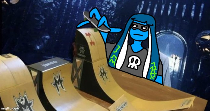 Skatezboard | image tagged in skatezboard | made w/ Imgflip meme maker