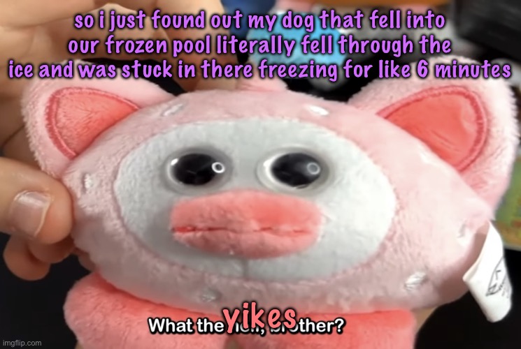 “What the hell, brother?” | so i just found out my dog that fell into our frozen pool literally fell through the ice and was stuck in there freezing for like 6 minutes; yikes | image tagged in what the hell brother,cinnabox announcement | made w/ Imgflip meme maker