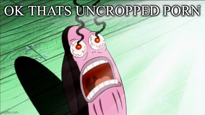 Spongebob My Eyes | OK THATS UNCROPPED PORN | image tagged in spongebob my eyes | made w/ Imgflip meme maker