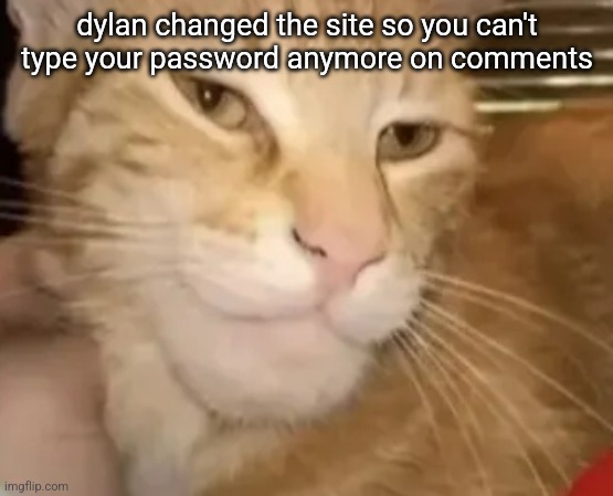 cat mewing | dylan changed the site so you can't type your password anymore on comments | image tagged in cat mewing | made w/ Imgflip meme maker