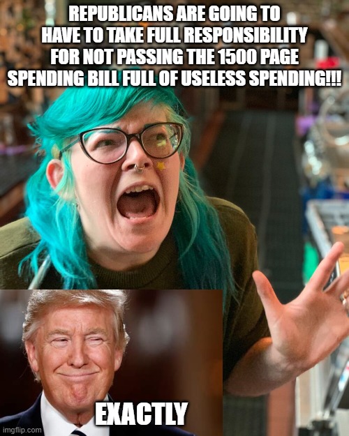 that is why we voted them in, libards. | REPUBLICANS ARE GOING TO HAVE TO TAKE FULL RESPONSIBILITY FOR NOT PASSING THE 1500 PAGE SPENDING BILL FULL OF USELESS SPENDING!!! EXACTLY | image tagged in funny memes,political meme,political humor,stupid liberals,donald trump approves | made w/ Imgflip meme maker