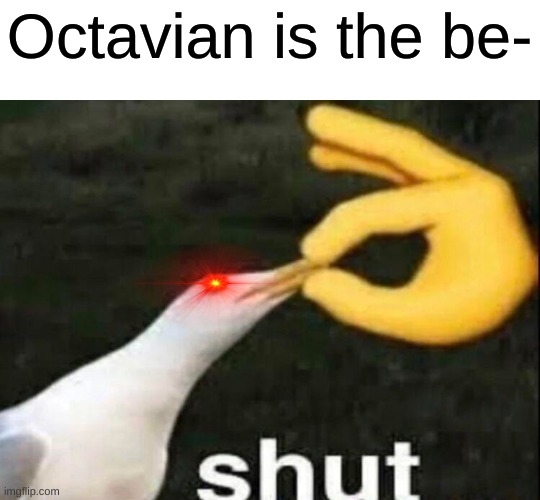 SHUT | Octavian is the be- | image tagged in shut | made w/ Imgflip meme maker