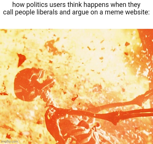 what's even sadder is that this is a memesite lmfao | how politics users think happens when they call people liberals and argue on a meme website: | image tagged in fire skeleton | made w/ Imgflip meme maker