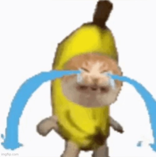 Banana cat | image tagged in banana cat | made w/ Imgflip meme maker